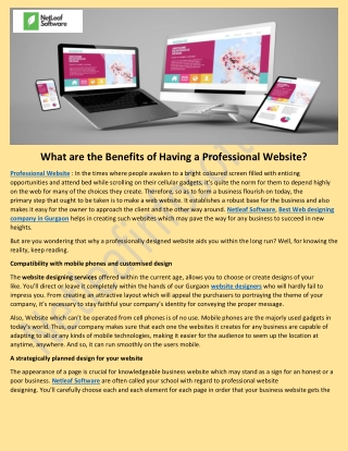 What are the Benefits of Having a Professional Website?