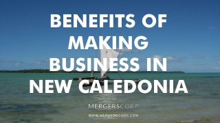 Benefits of Making Business in New Caledonia | Buy & Sell Business