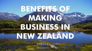 Benefits of Making Business in New Zealand |  Buy & Sell Business