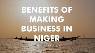 Benefits of Making Business in Niger |  Buy & Sell Business