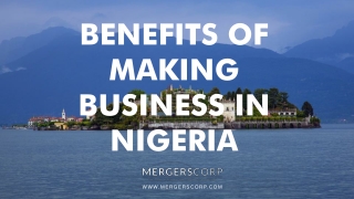 Benefits of Making Business in Nigeria | Buy & Sell Business