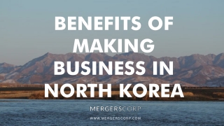 Benefits of Making Business in North Korea | Buy & Sell Business