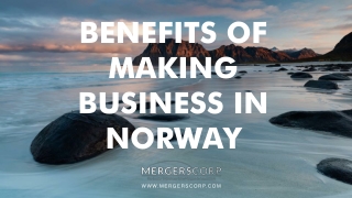 Benefits of Making Business in Norway | Buy & Sell Business