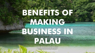 Benefits of Making Business in Palau | Buy & Sell Business