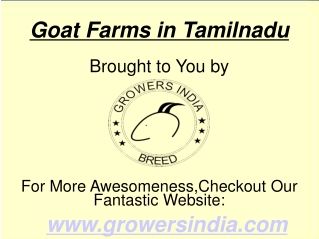 Goat Farms in Tamilnadu