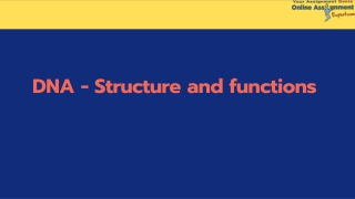 DNA - Structure and functions