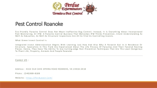 Pest Control Roanoke