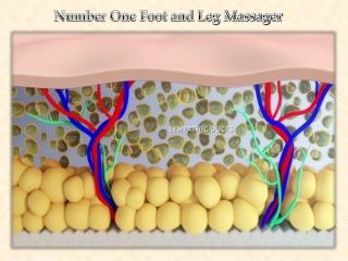 Number One Foot and Leg Massager