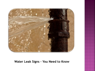 Detect a Water Leak Easily with These Signs
