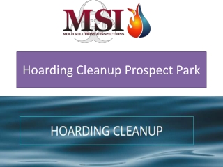 Hoarding Cleanup Prospect Park