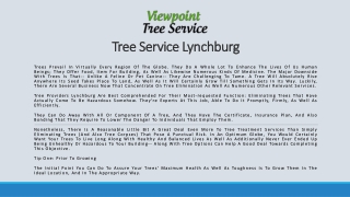 Tree Service Lynchburg