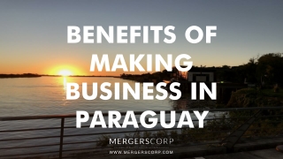 Benefits of Making Business in Paraguay | Buy & Sell Business