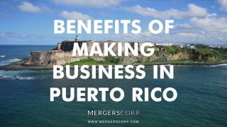 Benefits of Making Business in Puerto Rico | Buy & Sell Business