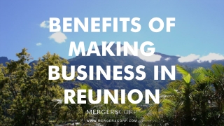 Benefits of Making Business in Reunion | Buy & Sell Business