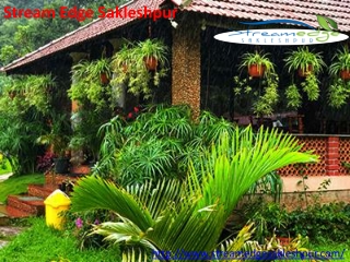 Best accommodation in Sakleshpur