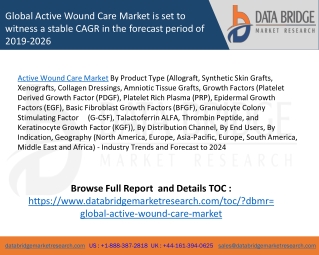 Global Active Wound Care Market – Industry Trends and Forecast to 2024