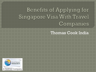 Benefits of Applying Singapore Visa With Travel Companies