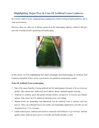Highlighting Major Pros & Cons Of Artificial Lawn Canberra