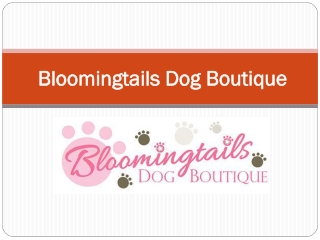 Save 20% Off All Products By Bloomingtails DogBoutique