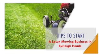 Effective Ways To Start A Lawn Mowing Business in Burleigh Heads