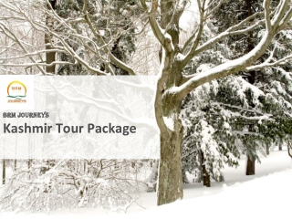 Kashmir Tour Package, Holiday in Kahmir