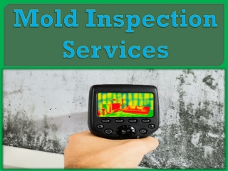 Mold Inspection Services