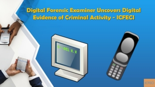 Digital forensic examiner