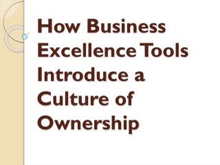 How Business Excellence Tools Introduce a Culture of Ownership