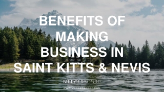 Benefits of Making Business in Saint Kitts & Nevis | Buy & Sell Business
