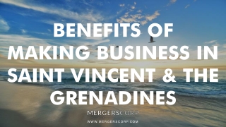 Benefits of Making Business in Saint Vincent & the Grenadines | Buy & Sell Business