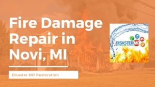 Smoke Damage Restoration Expert in Novi, MI