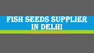 Fish Seeds supplier in Delhi