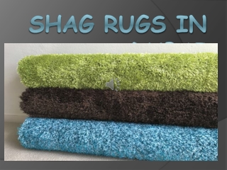 Shaggy Rugs Dubai