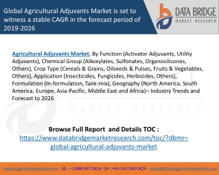 Global Agricultural Adjuvants Market is set to witness a stable CAGR in the forecast period of 2019-2026