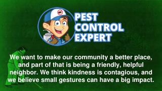 Pest Control, Inspection Specialist