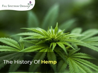 The History of Hemp