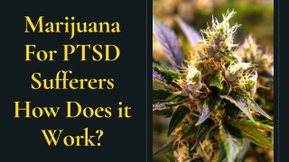 Marijuana For PTSD Sufferers - How Does it Work?