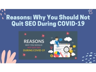 Reasons: Why You Should Not Quit SEO During COVID-19