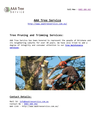 AAA Tree Service