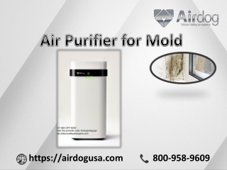 Air Purifier for Mold with an attractive Price: Airdog USA