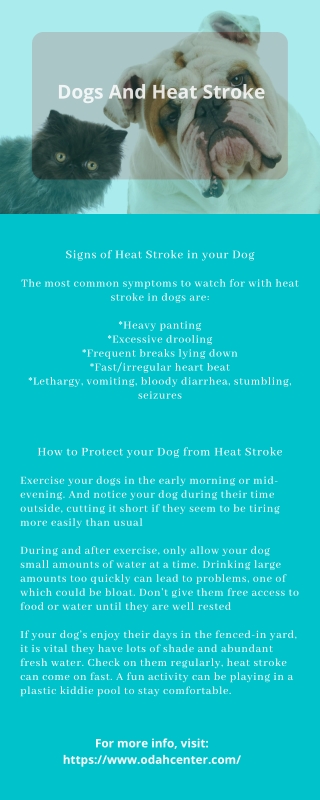 Dogs And Heat Stroke