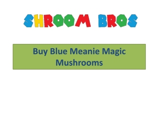 Buy Blue Meanie Magic Mushrooms