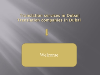 How To Get Professional Translation Services In Dubai?