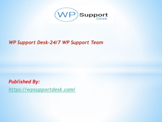 24/7 WP Support Team