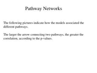 Pathway Networks