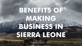 Benefits of Making Business in Sierra Leone | Buy & Sell Business