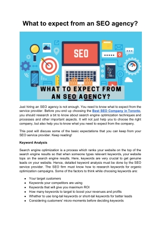 What to expect from an SEO agency?