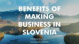 Benefits of Making Business in Slovenia | Buy & Sell Business