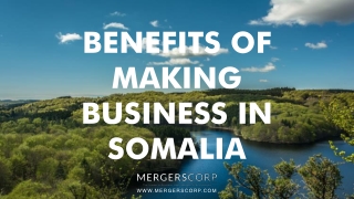 Benefits of Making Business in Somalia | Buy & Sell Business