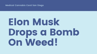 Elon Musk Drops a Bomb On Weed